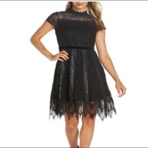 Foxiedox Maisie Lace & Velvet Cocktail Dress 4